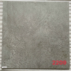 SÀN NHỰA IBT FLOOR IS 2209