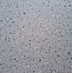 SÀN NHỰA VINYL FLOOR LT W308
