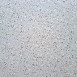 SÀN NHỰA VINYL FLOOR LT W310